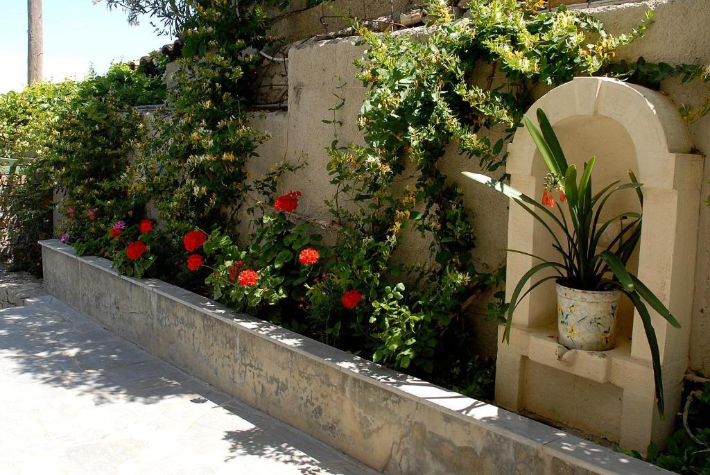 Bellevue Apartments Sitia  Dış mekan fotoğraf